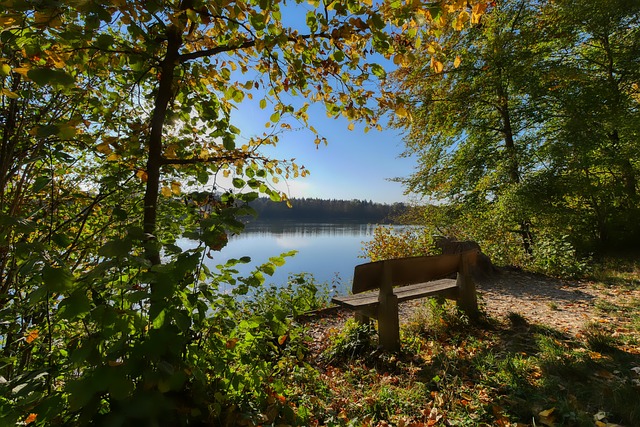 超乎常人的 超乎常人的