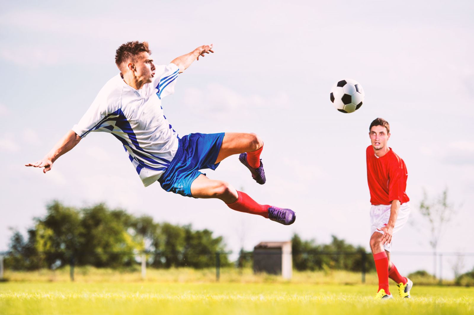 球爱好者来 球爱好者来